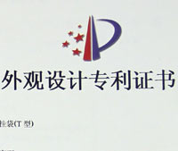 (拉鏈袋-側(cè)風(fēng)琴)外觀設(shè)計(jì)專利